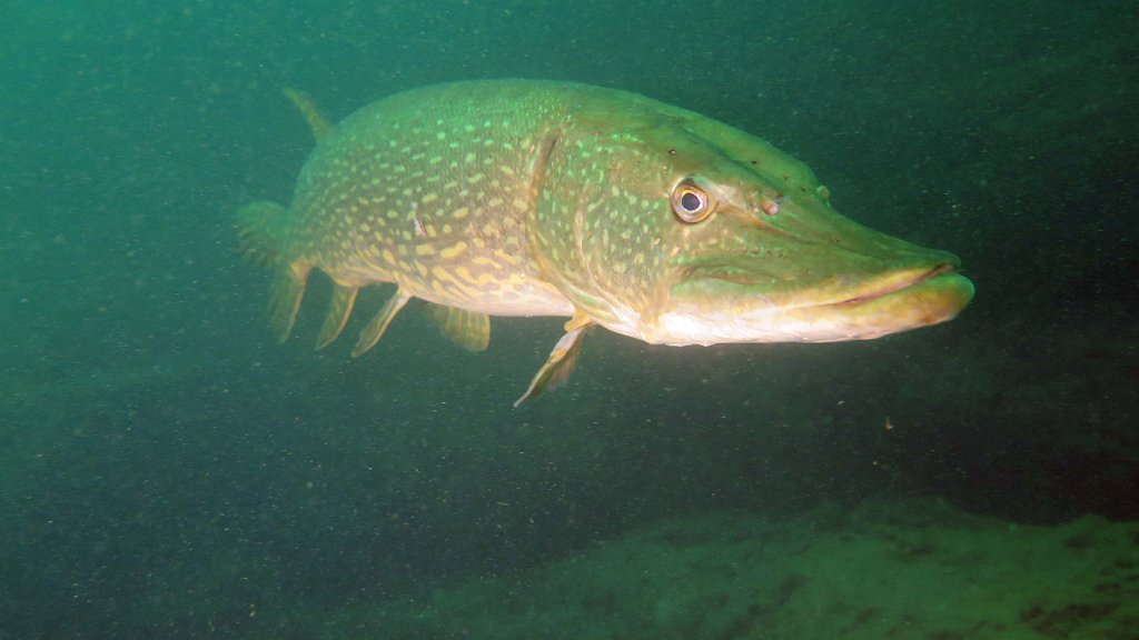 210724_La Gombe_53b.jpg